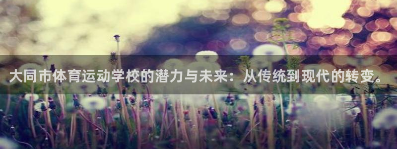 注册JJB竞技宝官方正版app：大同市体育运动学校的