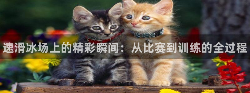 JJB竞技宝官方正版app娱乐首页官网下载：速滑冰场