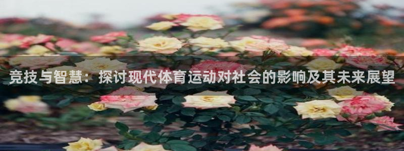 JJB竞技宝官方正版app集团官网首页：竞技与智慧：
