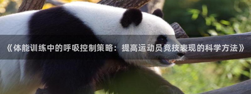 JJB竞技宝官方正版app娱乐代理怎么样：《体能训练