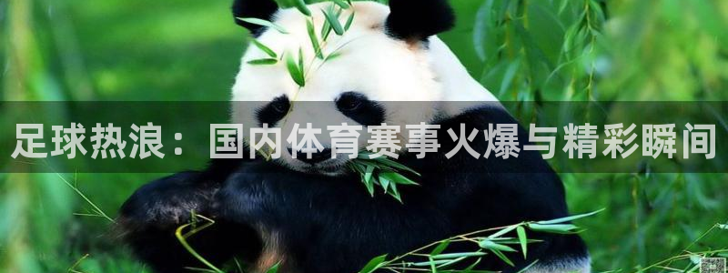 JJB竞技宝官方正版app集团官网网址：足球热浪：国