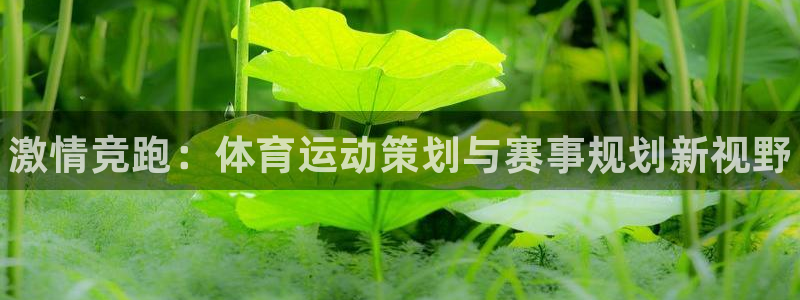 JJB竞技宝官方正版app娱乐：激情竞跑：体育运动策