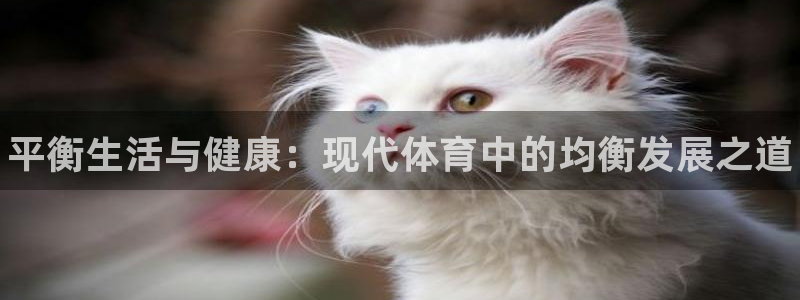 海南JJB竞技宝官网下载：平衡生活与健康：现代体育中