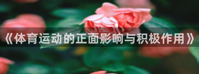 JJB竞技宝官网下载招商电话号码是多少号