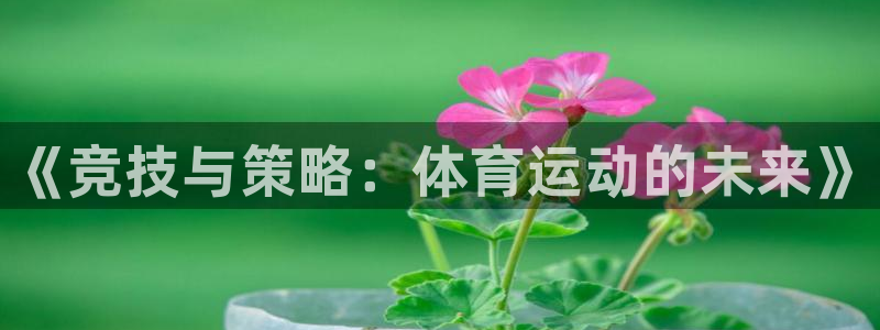 JJB竞技宝官方平台体育：《竞技与策略：体育运动的未来》