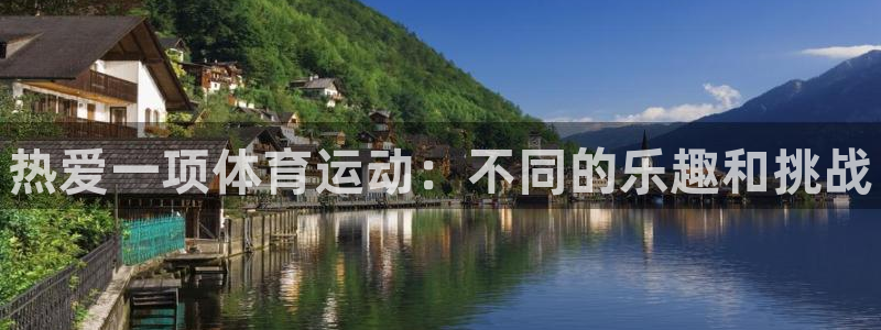 JJB竞技宝官方正版app新能源：热爱一项体育运动：不同的乐