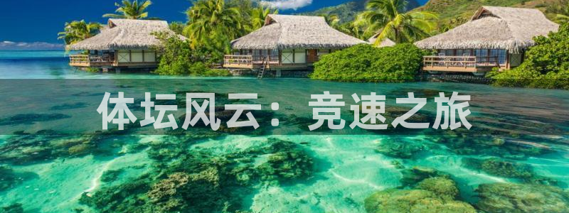 JJB竞技宝官方正版app新能源：体坛风云：竞速之旅