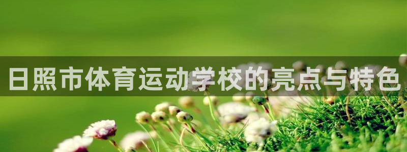 JJB竞技宝官网下载招商电话号码
