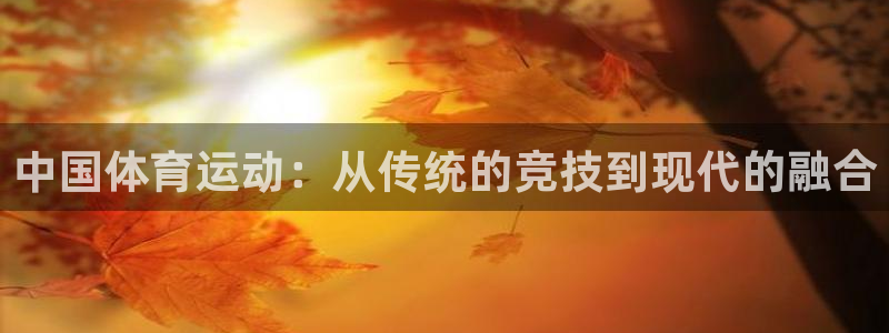 JJB竞技宝官网下载招商电话号码是多少号：中国体育运动：从传