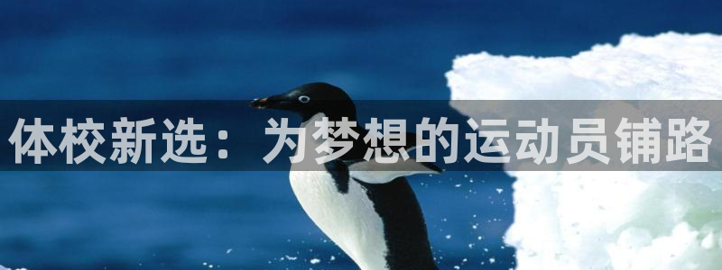 JJB竞技宝官方正版app娱乐首页官网下载：体校新选：为梦想