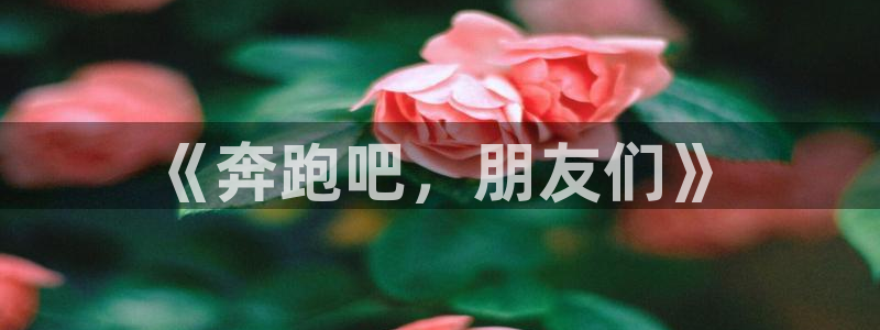 JJB竞技宝官方集团官网：《奔跑吧，朋友们》