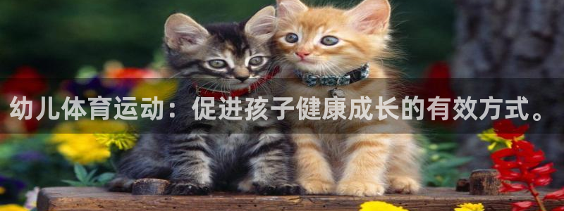 JJB竞技宝官方正版app集团官网首页：幼儿体育运动