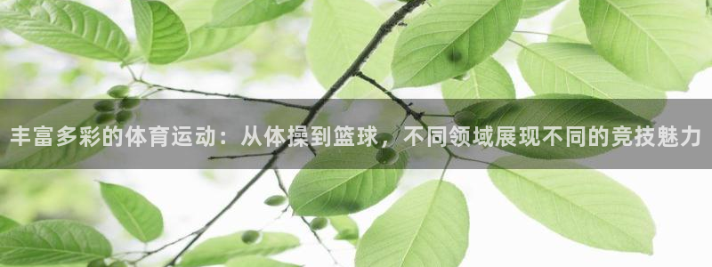 JJB竞技宝官网下载招商电话号码是多少：丰富多彩的体