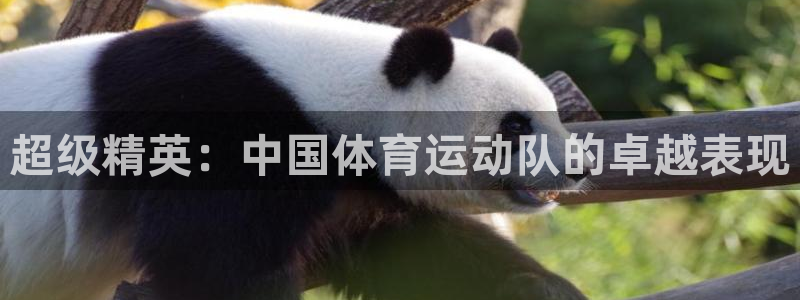 JJB竞技宝官网下载平台是正规平台吗安全吗：超级精英