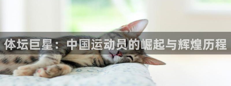 JJB竞技宝官方平台体育：体坛巨星：中国运动员的崛起与辉煌历
