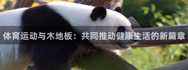 JJB竞技宝官网下载平台是正规平台吗知乎：体育运动与