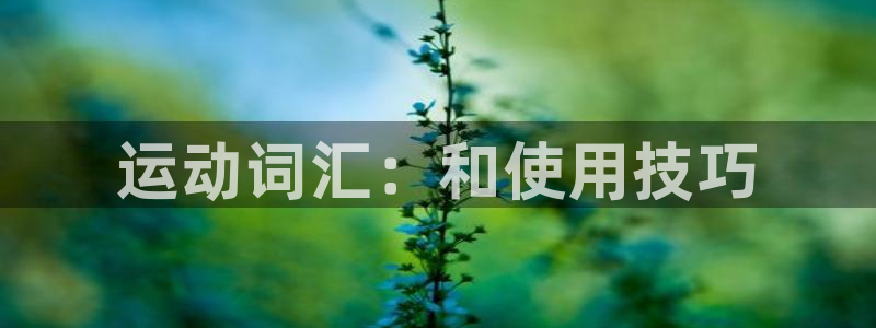 JJB竞技宝官方正版app神州：运动词汇：和使用技巧