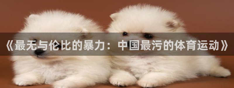 JJB竞技宝官网下载平台注册：《最无与伦比的暴力：中国最污的