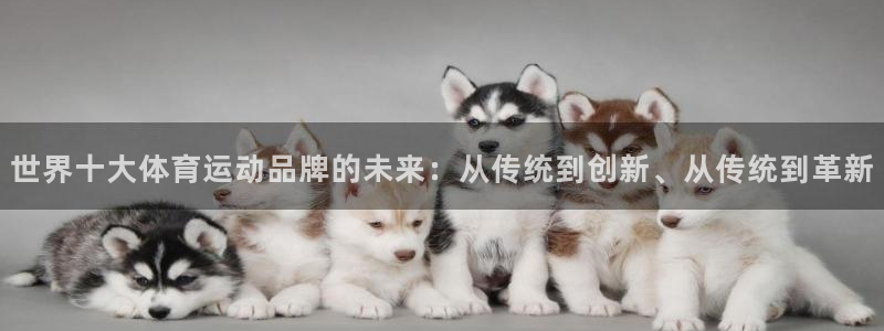 JJB竞技宝官网下载平台是正规平台吗安全吗:世界十大体育运动