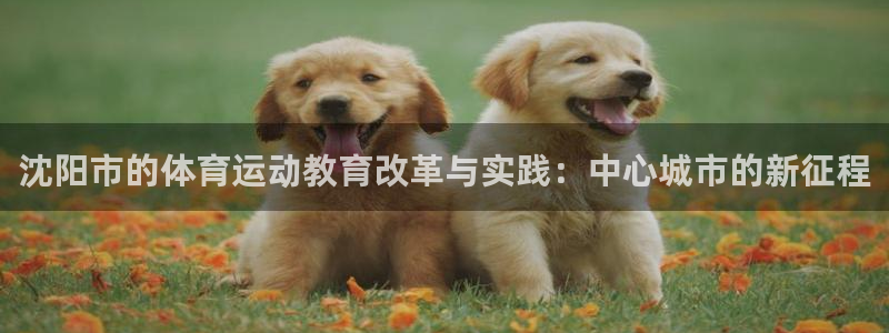 JJB竞技宝官方集团官网：沈阳市的体育运动教育改革与实践：中