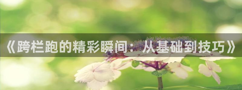 竞技宝手机版官网：《跨栏跑的精彩瞬间：从基础到技巧》