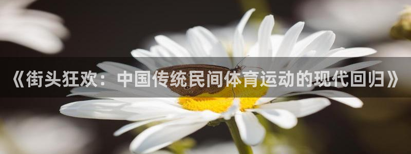  竞技宝跑路：《街头狂欢：中国传统民间体育运动的现代回归》
