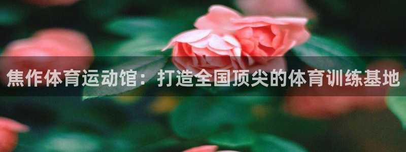 竞技宝下载官网app：焦作体育运动馆：打造全国顶尖的体育训练