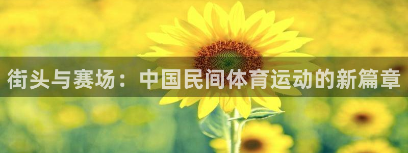  竞技宝手机端下载安装：街头与赛场：中国民间体育运动的新篇章
