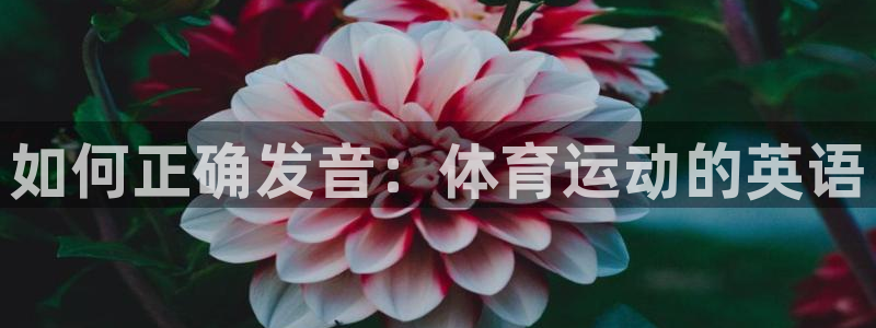 竞技宝手机端下载：如何正确发音：体育运动的英语