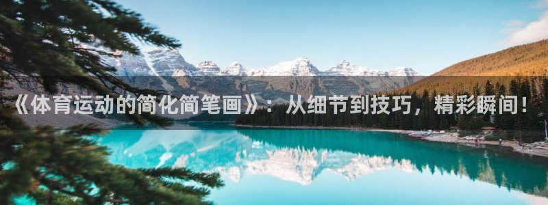 竞技宝手机端下载安装：《体育运动的简化简笔画》：从细节到技巧