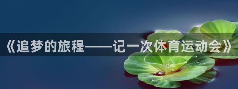 竞技宝app最新下载苹果：《追梦的旅程——记一次体育运动会》