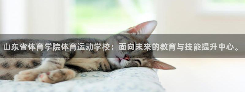 竞技宝app官网版下载：山东省体育学院体育运动学校：面向未来