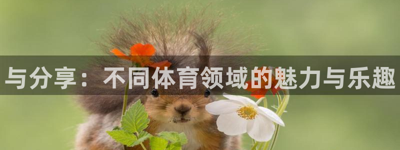 竞技宝进不去怎么办：与分享：不同体育领域的魅力与乐趣