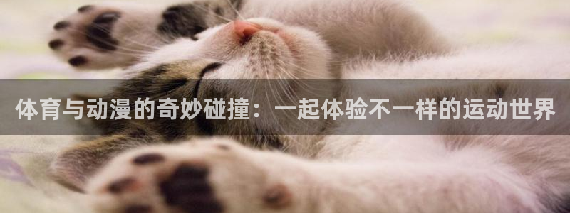 竞技宝app最新版下载：体育与动漫的奇妙碰撞：一起体验不一样