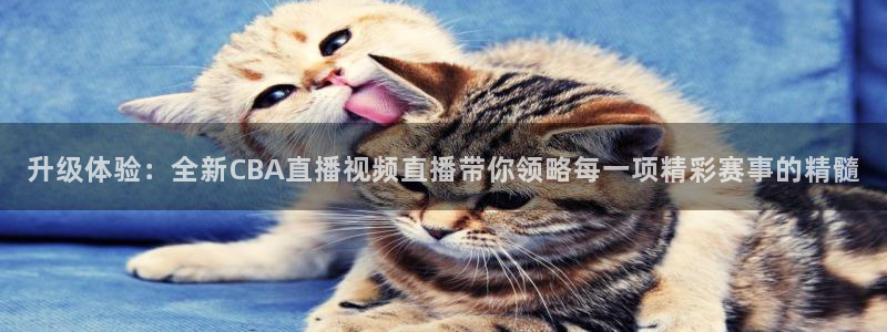 球友体育app免费看球：升级体验：全新CBA直播视频直播带你领略每一项精彩赛事的精髓